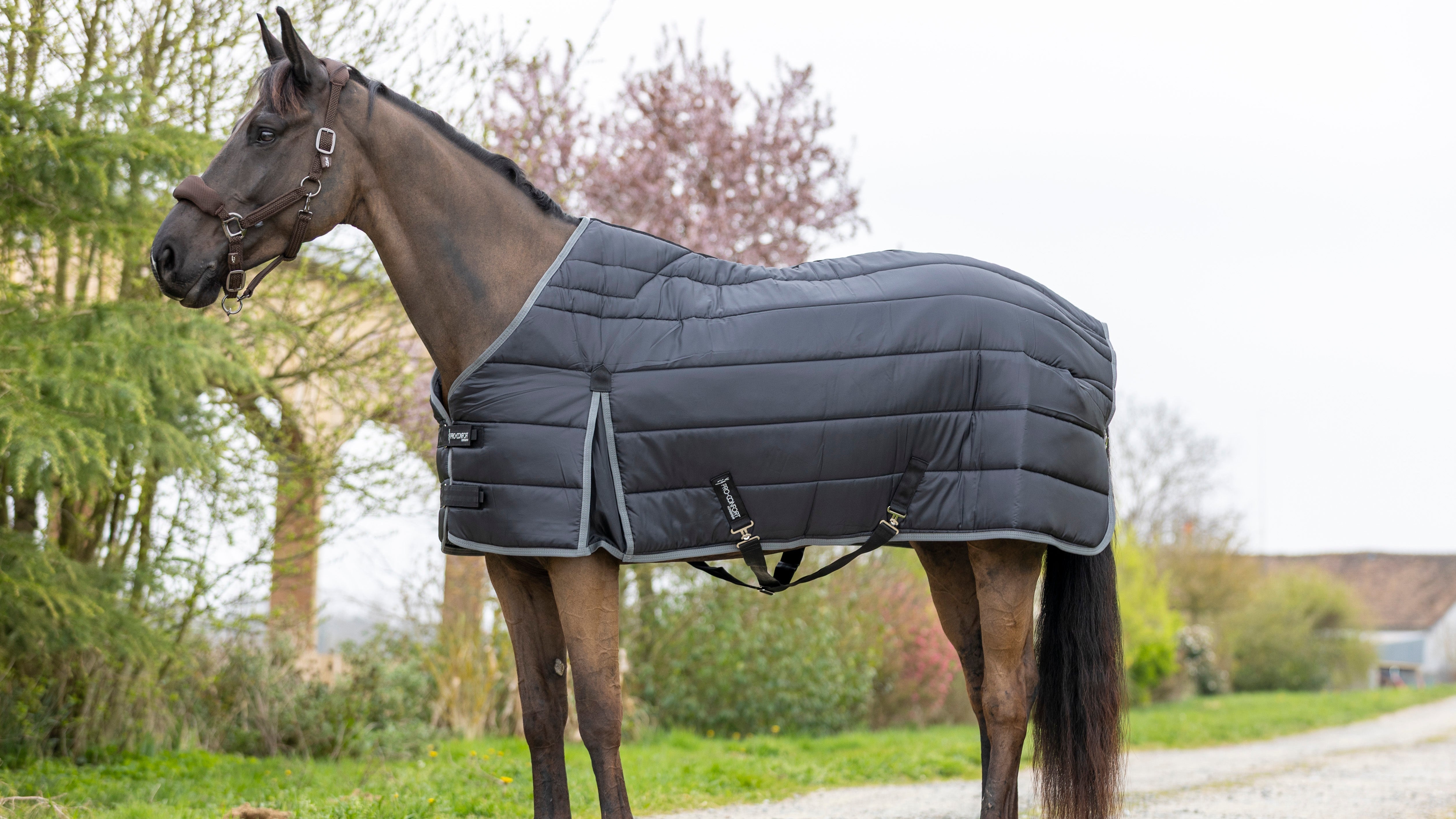 Comment choisir la couverture de son cheval (grammage, taille, température) ?