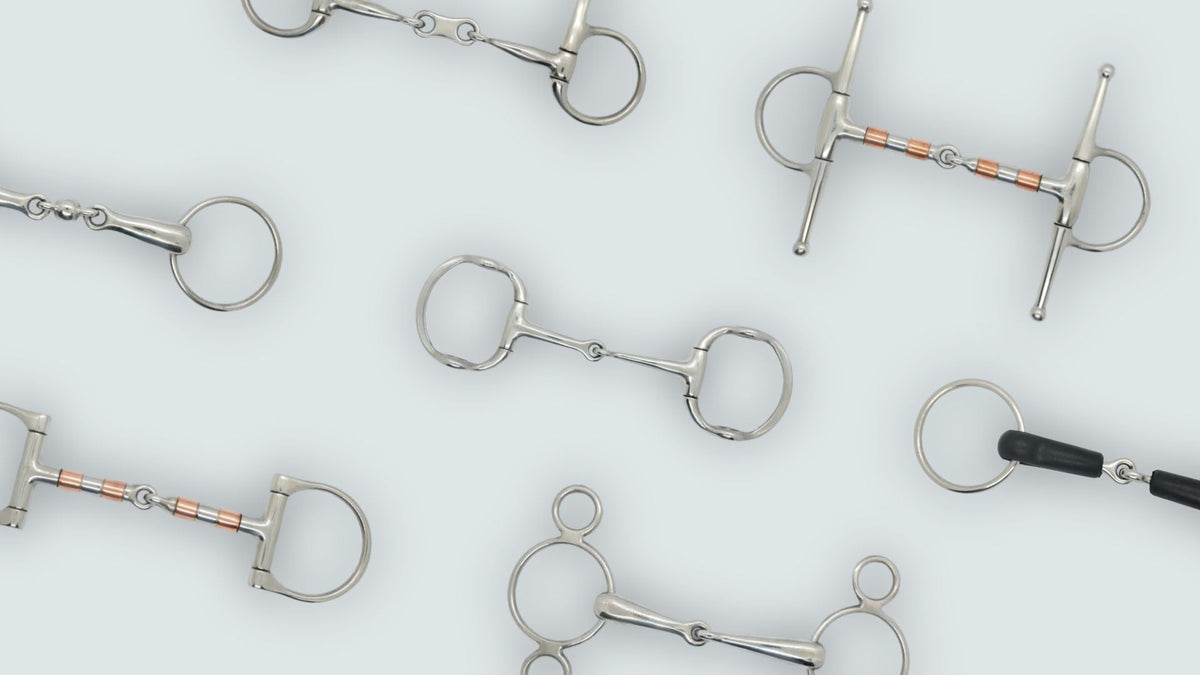 Tout savoir sur le mors : types, taille et comment choisir