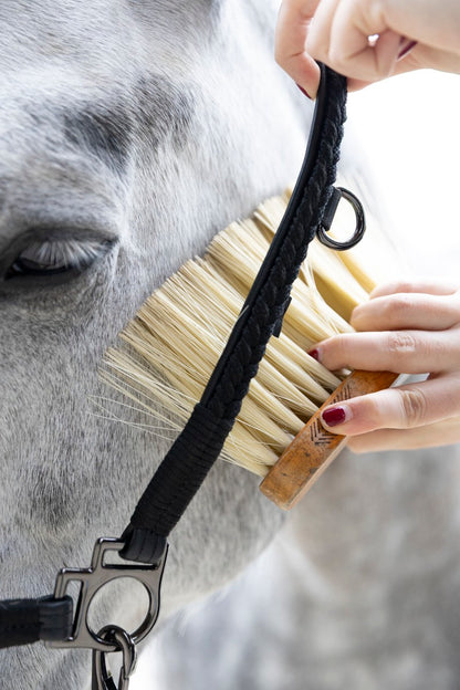 Dialou Licol de grooming